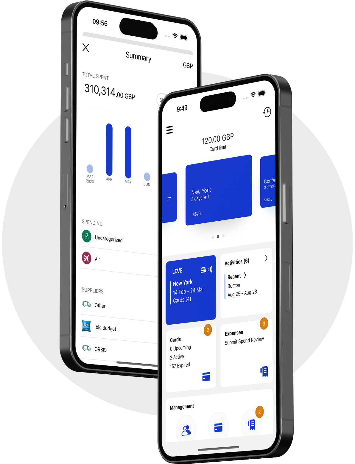 Visa Commercial Pay App